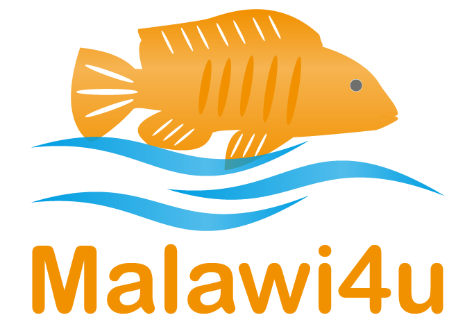 Malawi4u - Ihr Onlineshop für Malawi-Buntbarsche und Aquaristik-Zubehör
