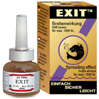 Exit