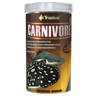 Carnivore