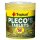 Plecos Tabin