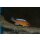 Labeotropheus trewavasae chilumba orange 3 - 4 cm