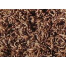 sera FD rote Mückenlarven 100 ml (11 g)