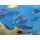 Cynotilapia afra white top Galileya Reef WFNZ 4 - 5 cm