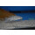 Neolamprologus cylindricus „Isanga“ Island WFNZ 3 - 4 cm
