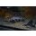 Synodontis granulosus WF 10 - 12 cm